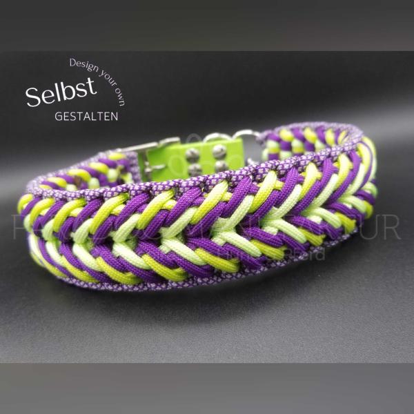 Hundehalsband "Spontaneus" - *Evtl. abgebildetes Zubehör, Deko oder Accessoires sind nicht im Lieferumfang enthalten.